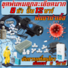 ชุดพ่นยาฆ่าเชื้อละเอียดมาก  8 หัว ปั๊ม 12 บาร์ + เซ็นเซอร์จับการเคลื่อนไหว